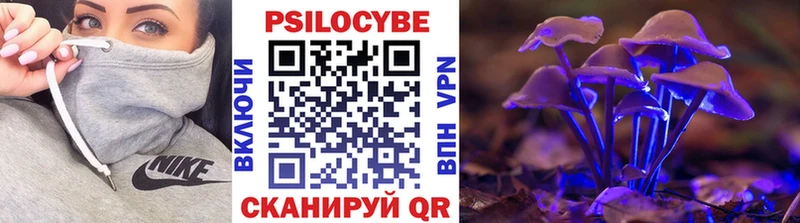 Купить где  Барнаул  Псилоцибиновые грибы прущие грибы 